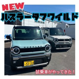 【新型】ハスラータフワイルド　★試乗車がやってきた★